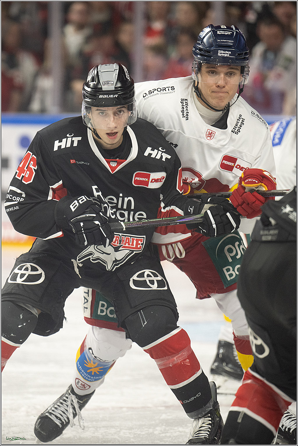 PENNY DEL; Koelner Haie-Duesseldorfer EG ; Koeln, 16.02.2025